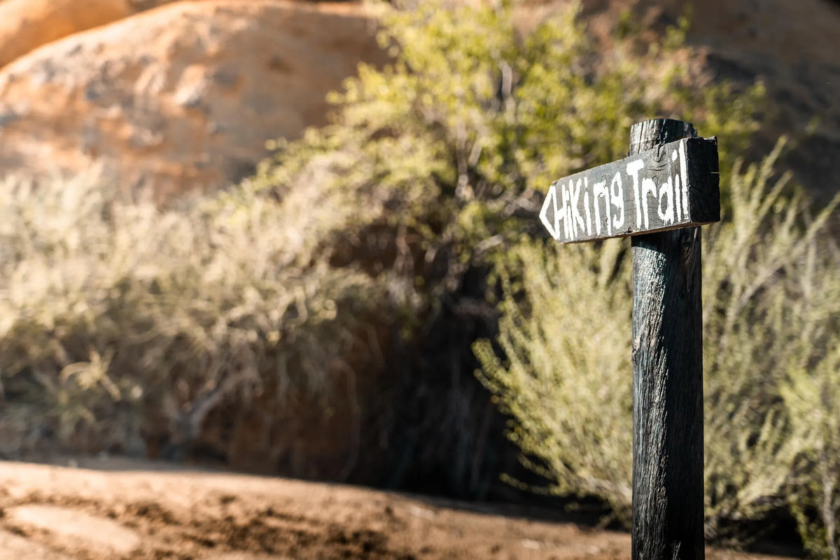 Guided walks (Morning & Sundowner)