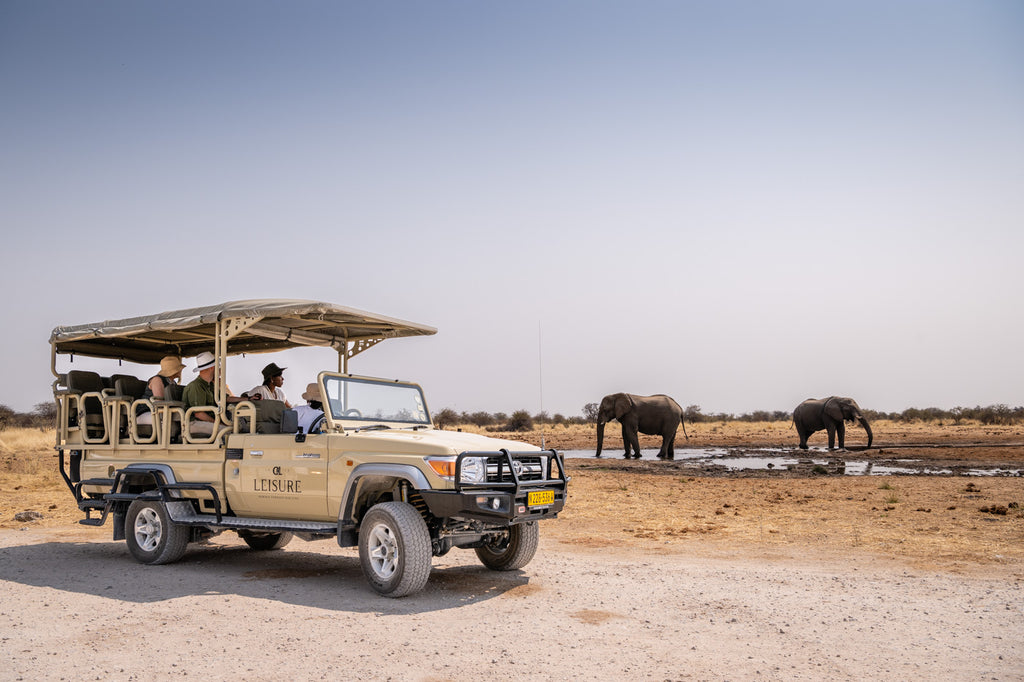 Game Drives into Etosha National Park 