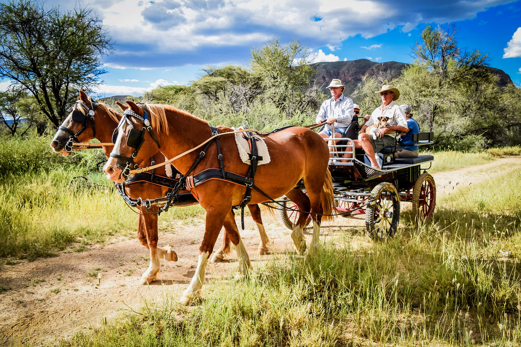 Carriage ride