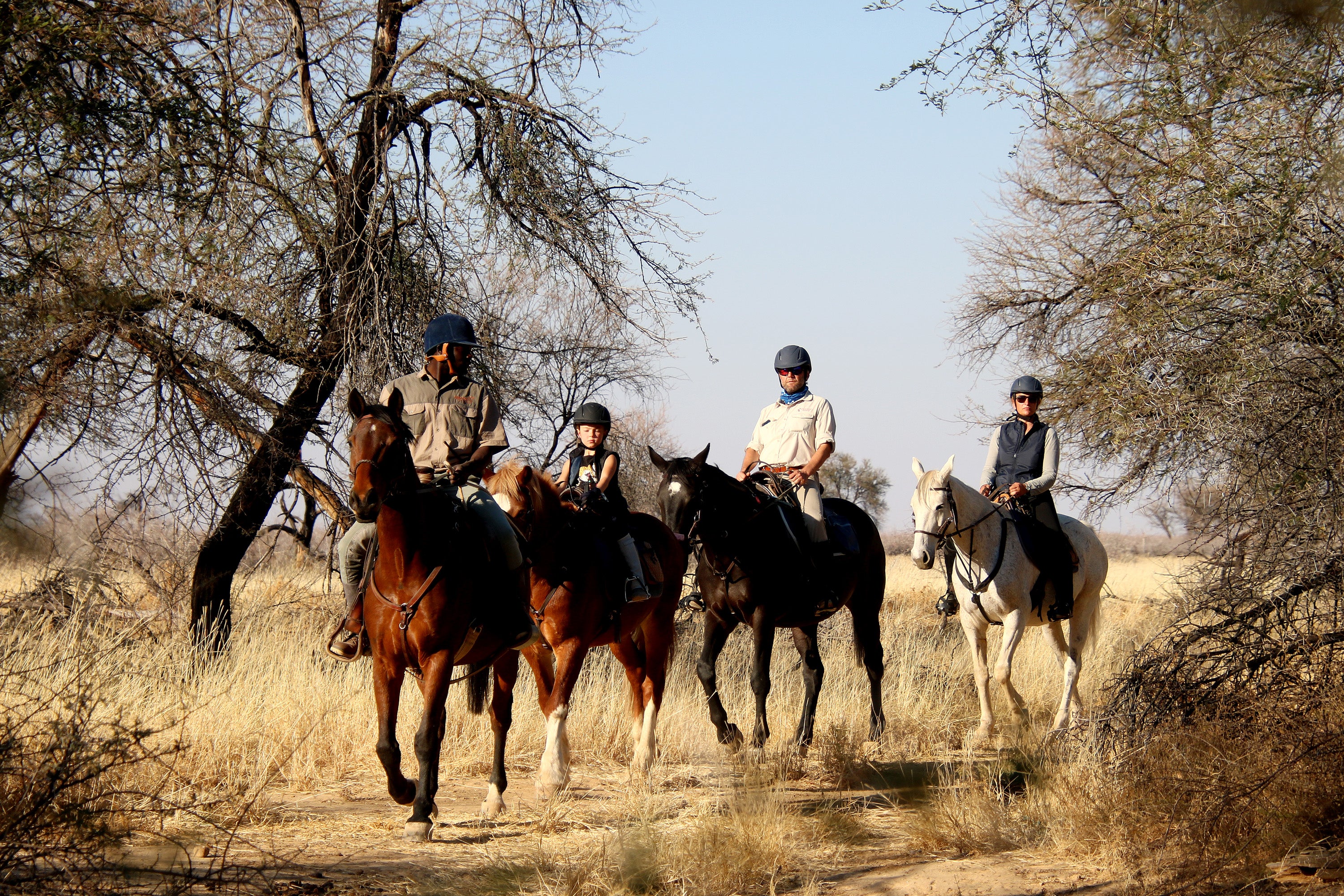 Horse riding on BüllsPort
