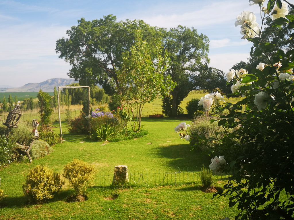 Bloureen garden & mountain views