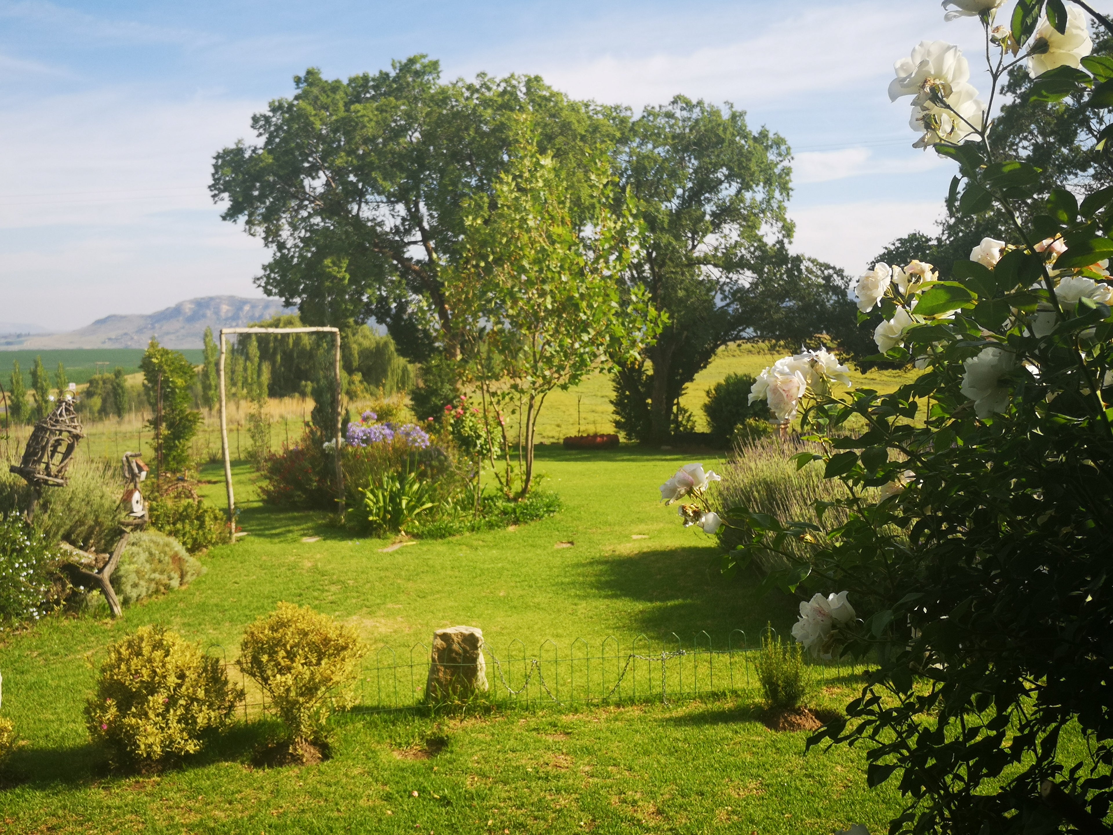 Bloureen garden & mountain views
