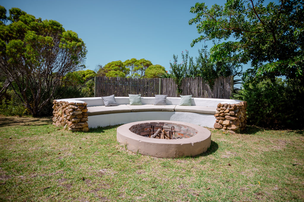 Witkrans Cone Bush