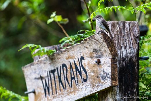 Witkrans Entrance sign