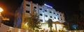 Golden Tulip