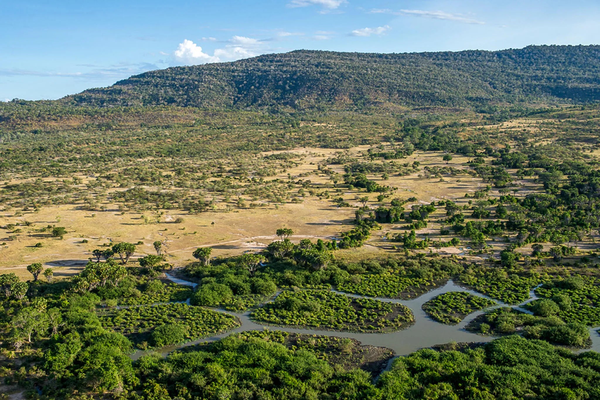 Roho ya Selous - Landscape at Roho Ya Selous, Nyerere National Park, Tanzania.