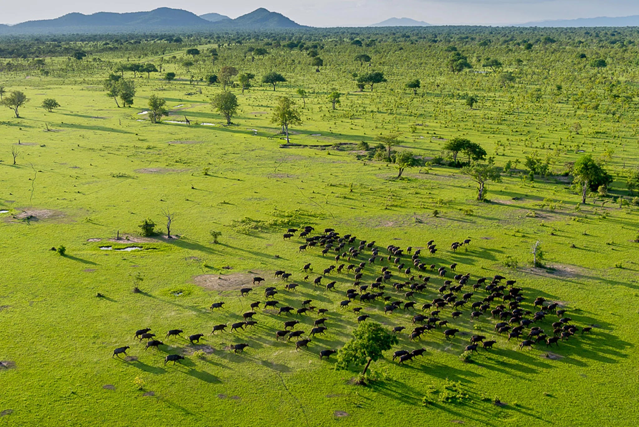 Roho ya Selous - Views at Roho Ya Selous, Nyerere National Park, Tanzania.