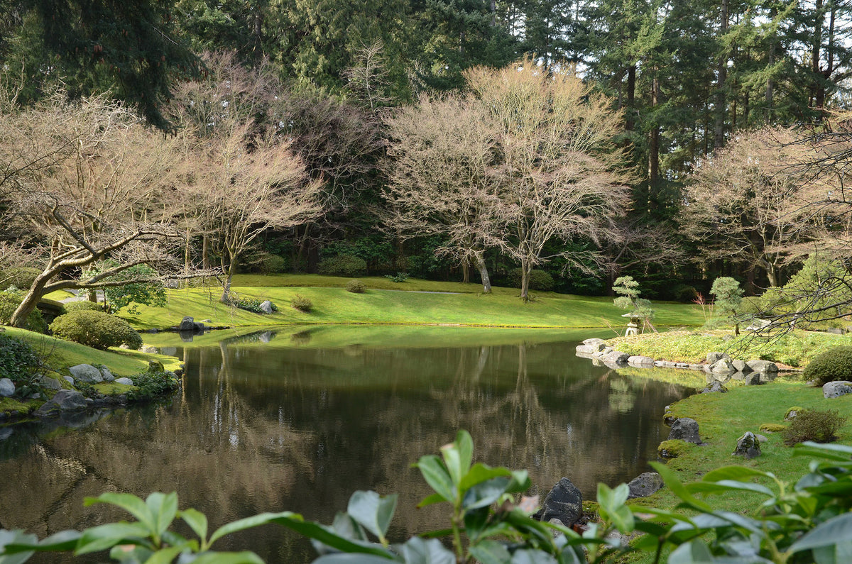 Nitobe Memorial Garden