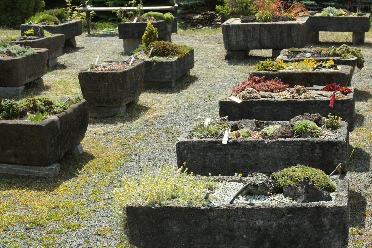 UBC Botanical Garden & Centre for Plant Research
