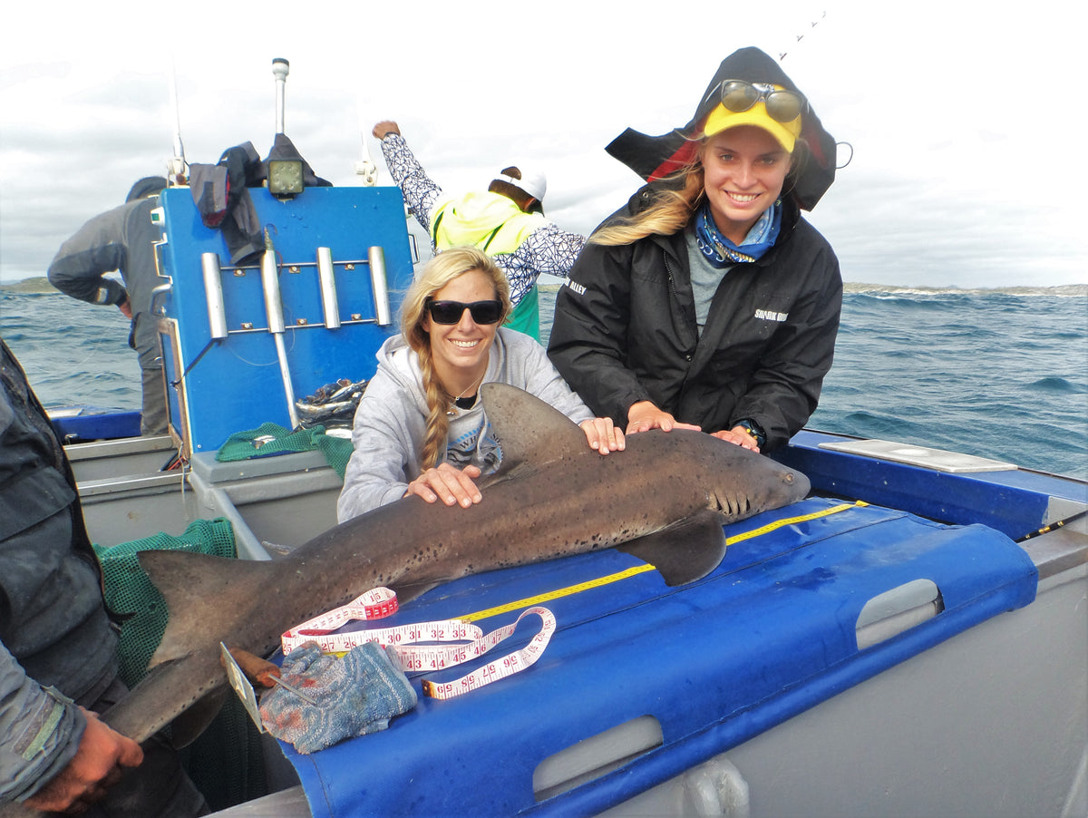 White Shark Diving Company Research and Volunteer Institute