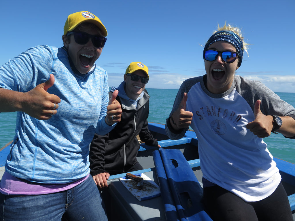A good day at sea!