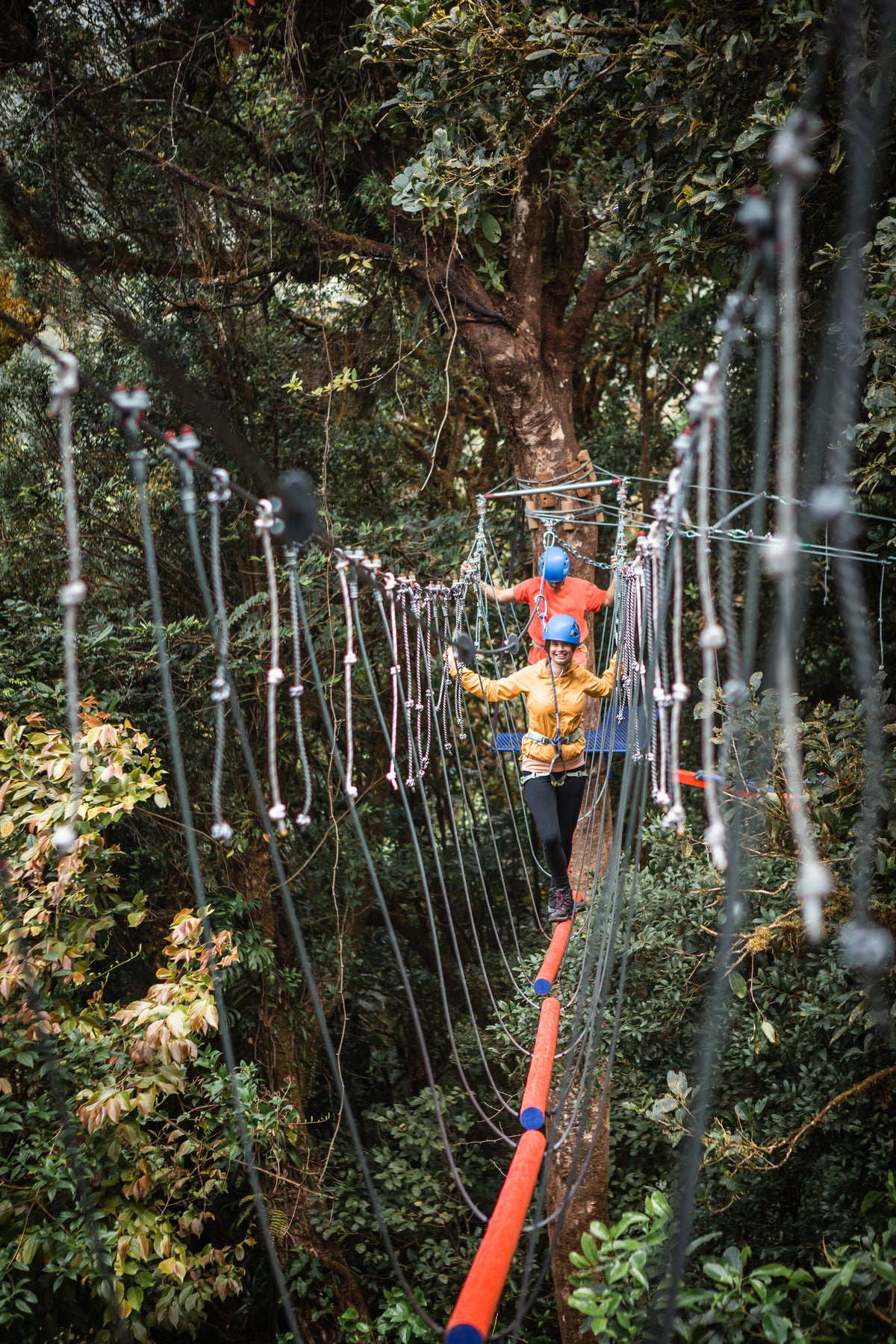 Treetopia Park Monteverde