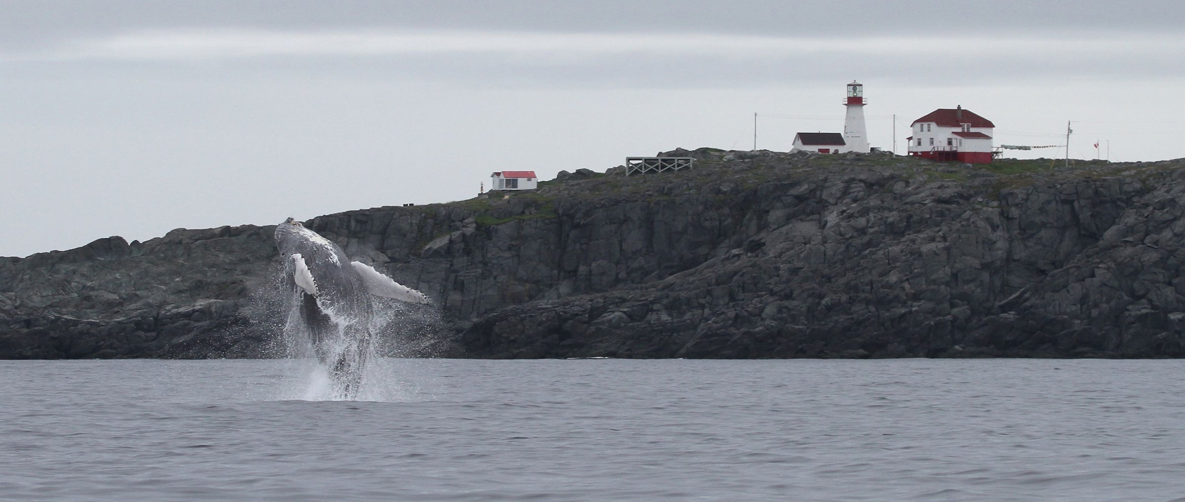Quirpon Island