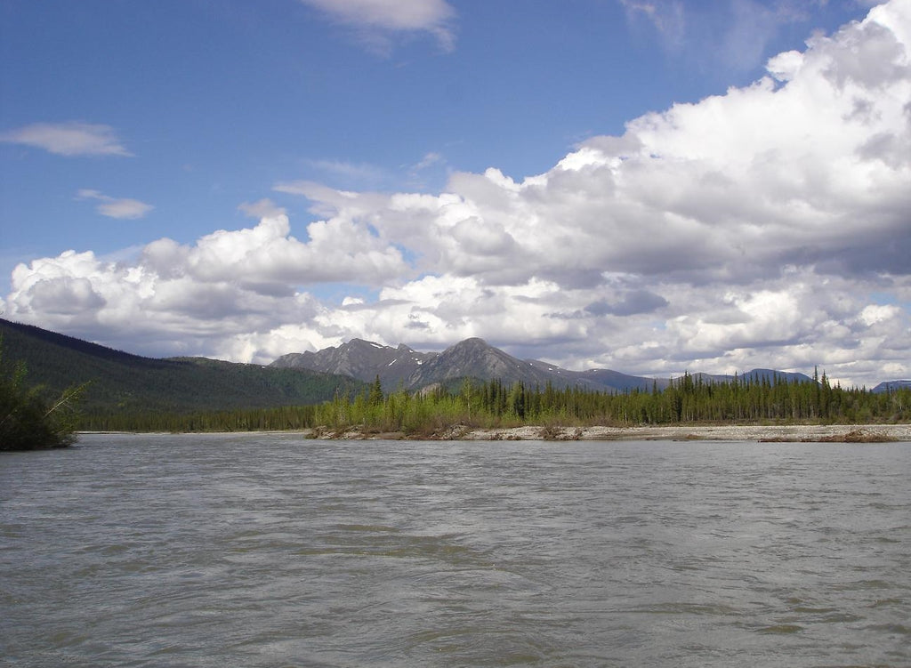 http://www.coldfootcamp.com/#overview-section