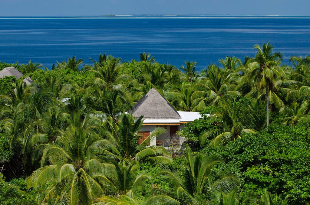  2 Bedroom Treetop Pool Villa  