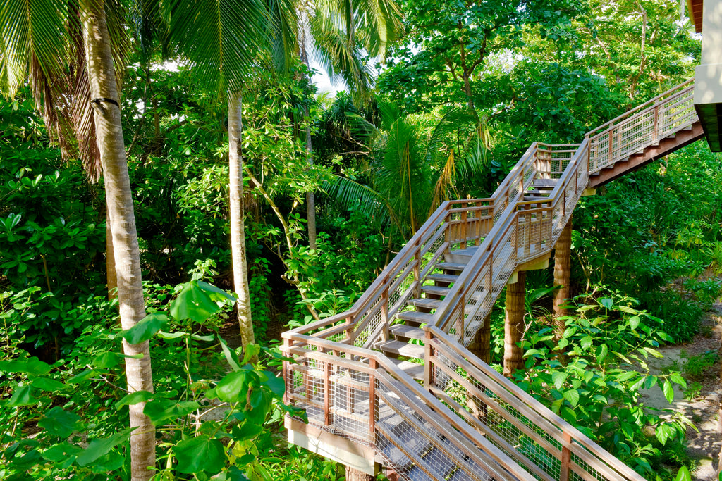  2 Bedroom Treetop Pool Villa  