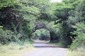 Welcome to Emdoneni Lodge