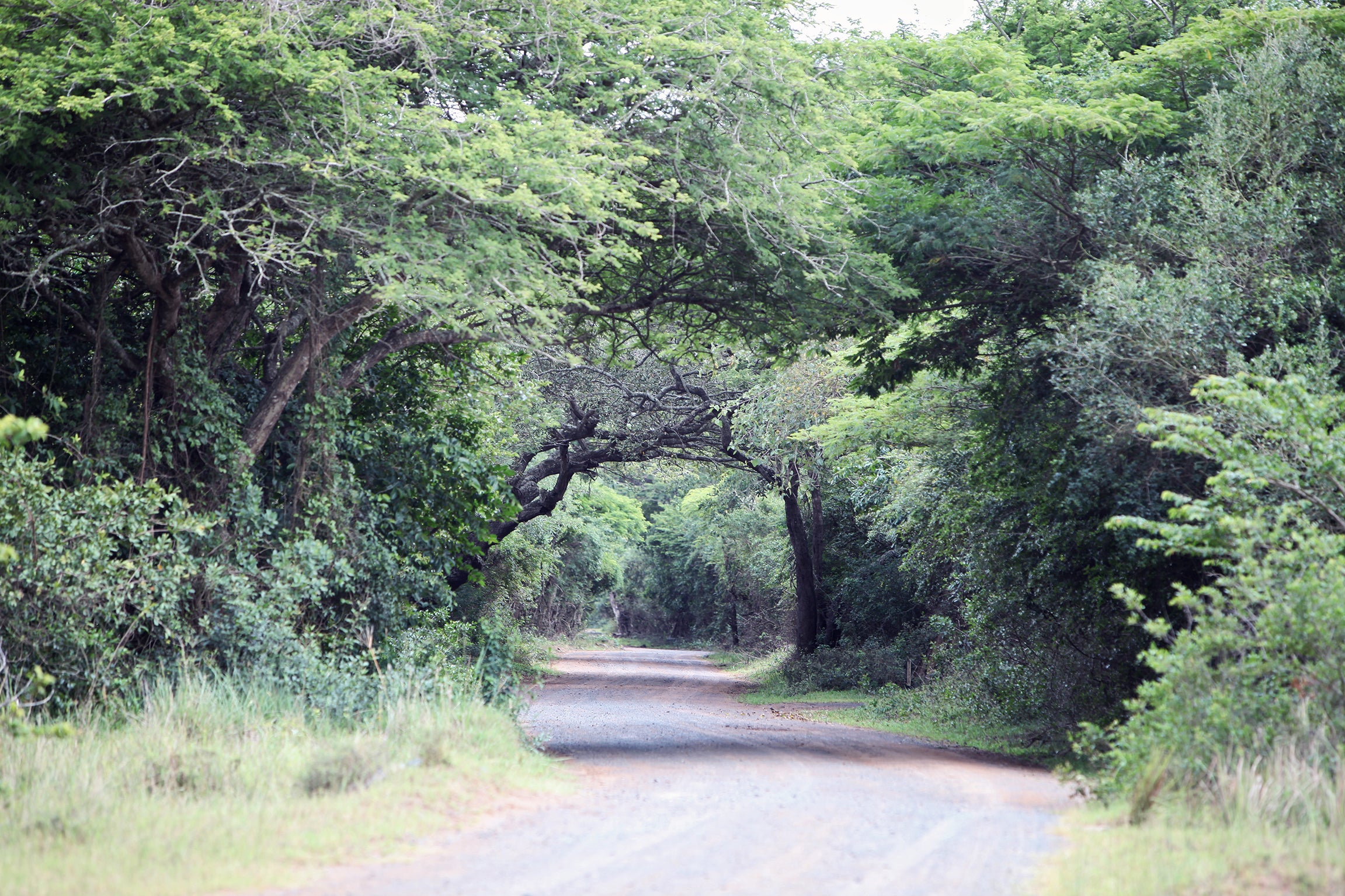 Welcome to Emdoneni Lodge