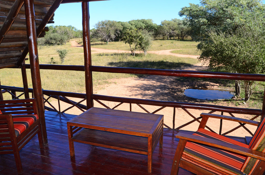 Bushwillow