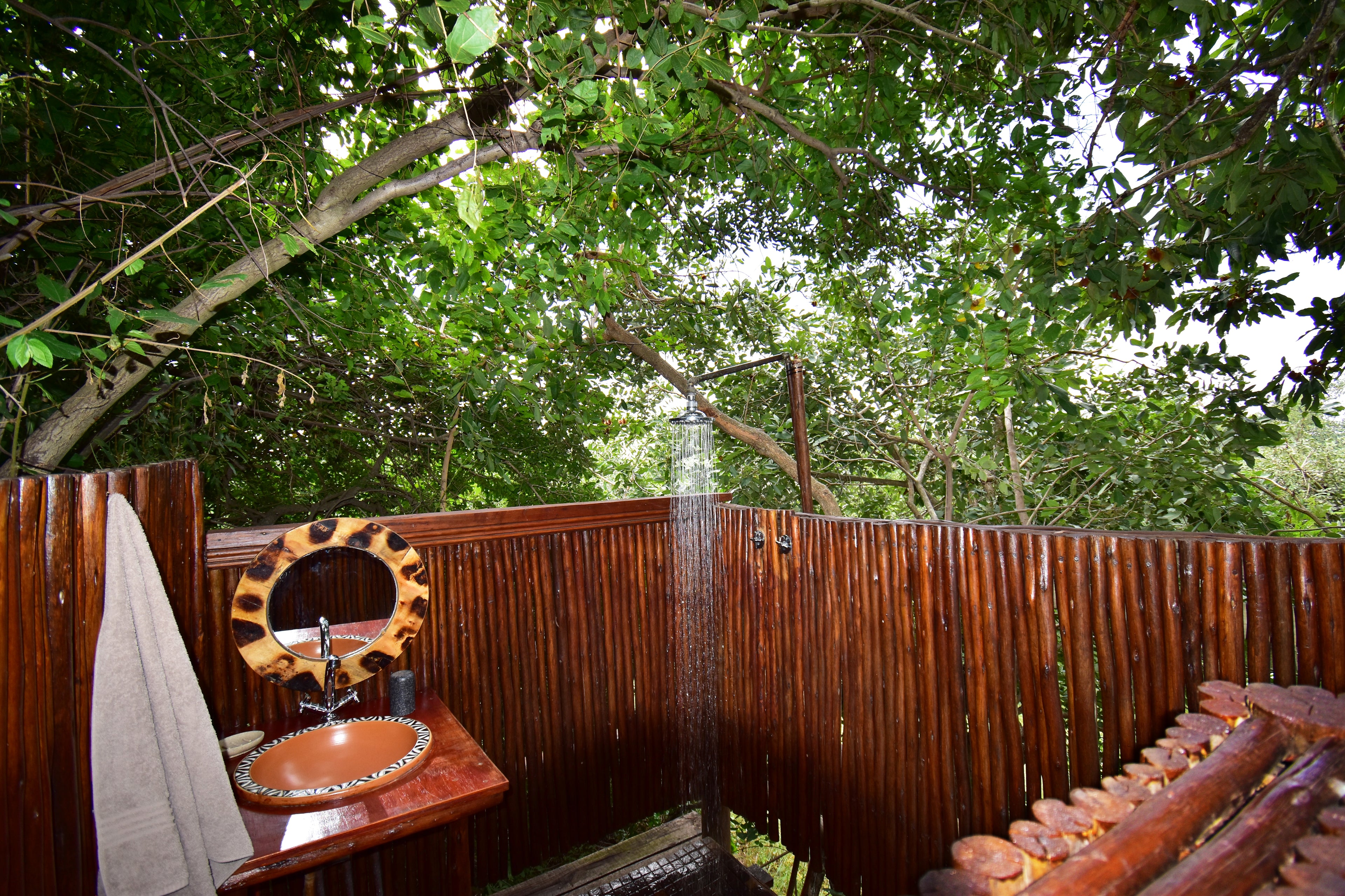 Bushwillow