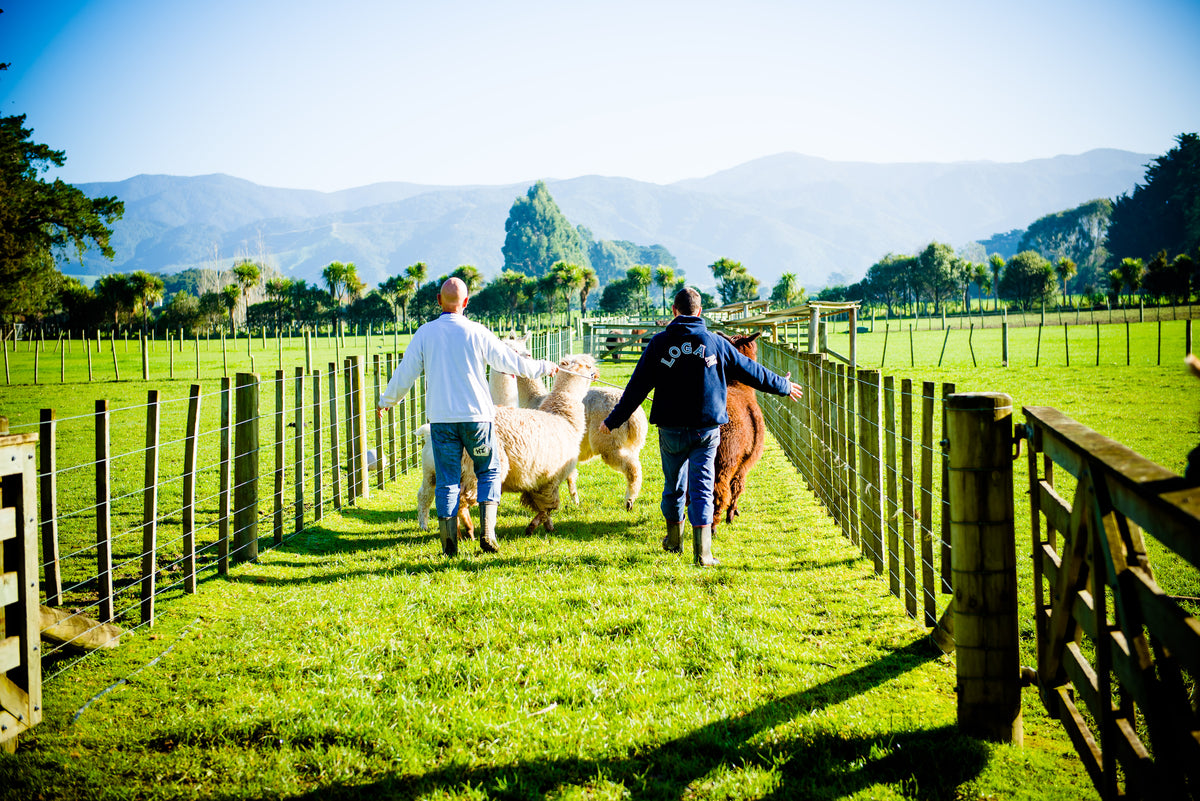 Kahikatea Gardens with Friendly Animals