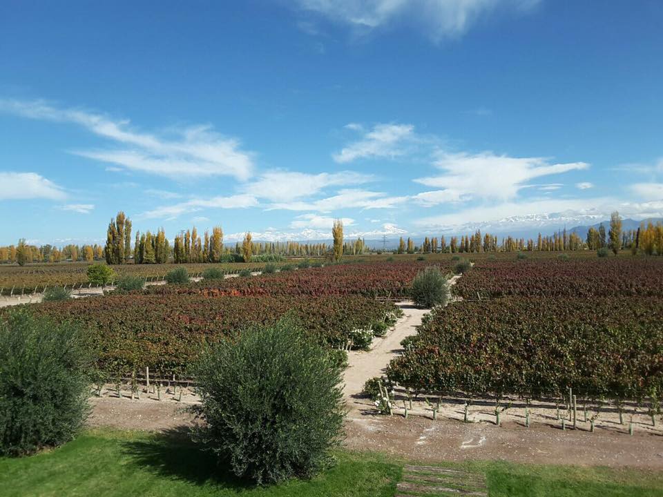 Matervini Winery