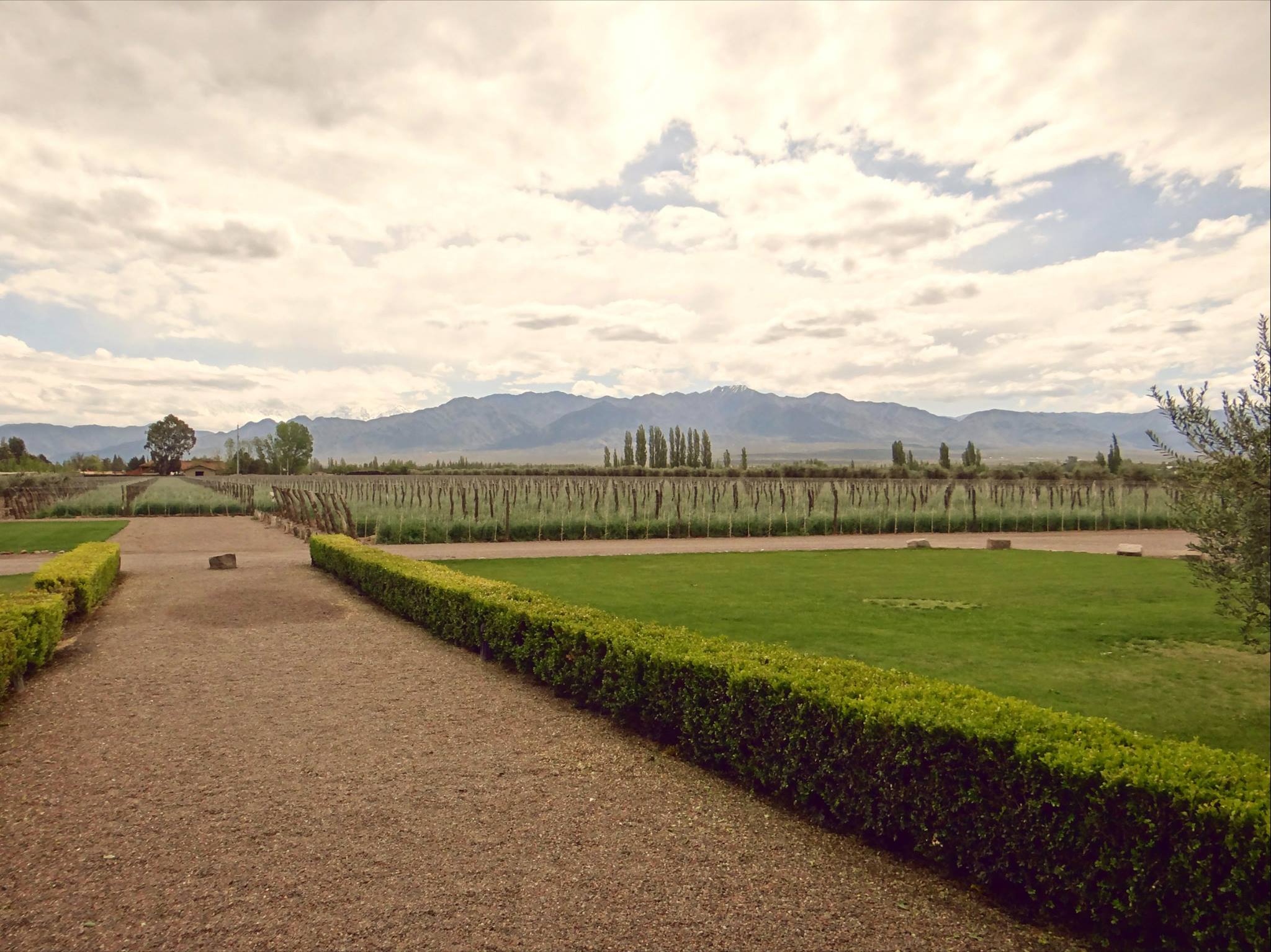Vistalba Winery