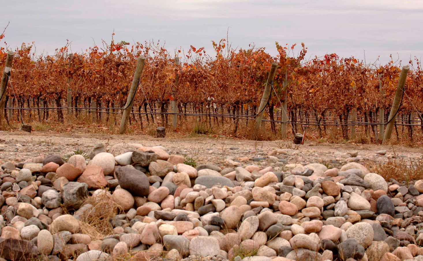 Vistalba Winery