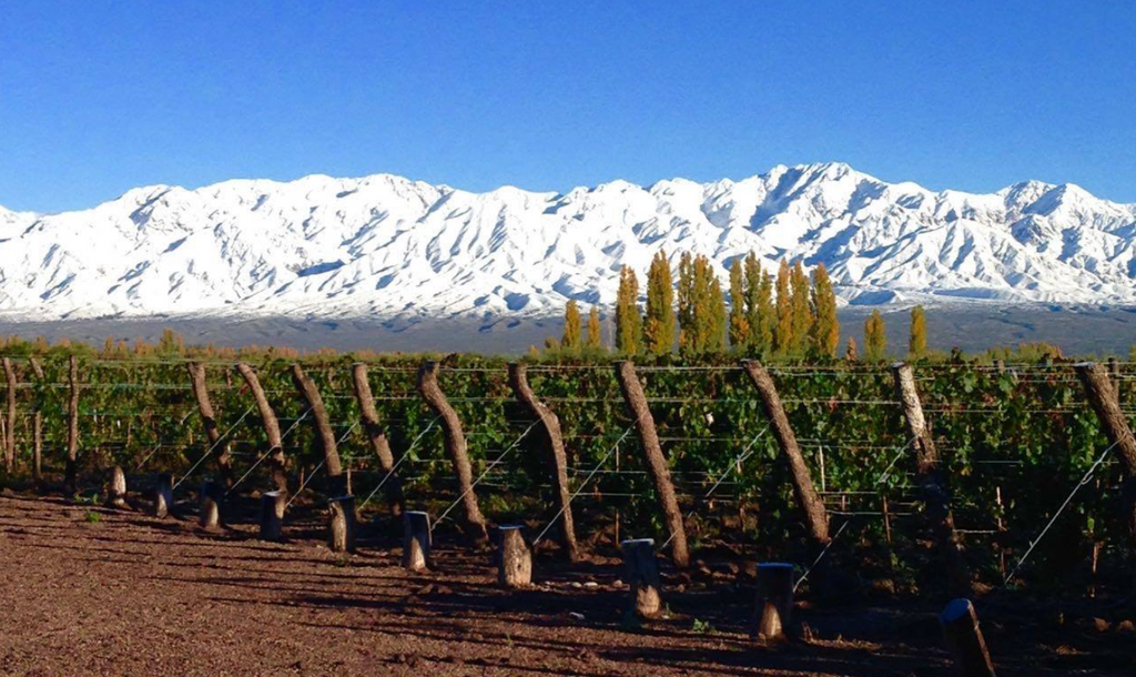 Vistalba Winery