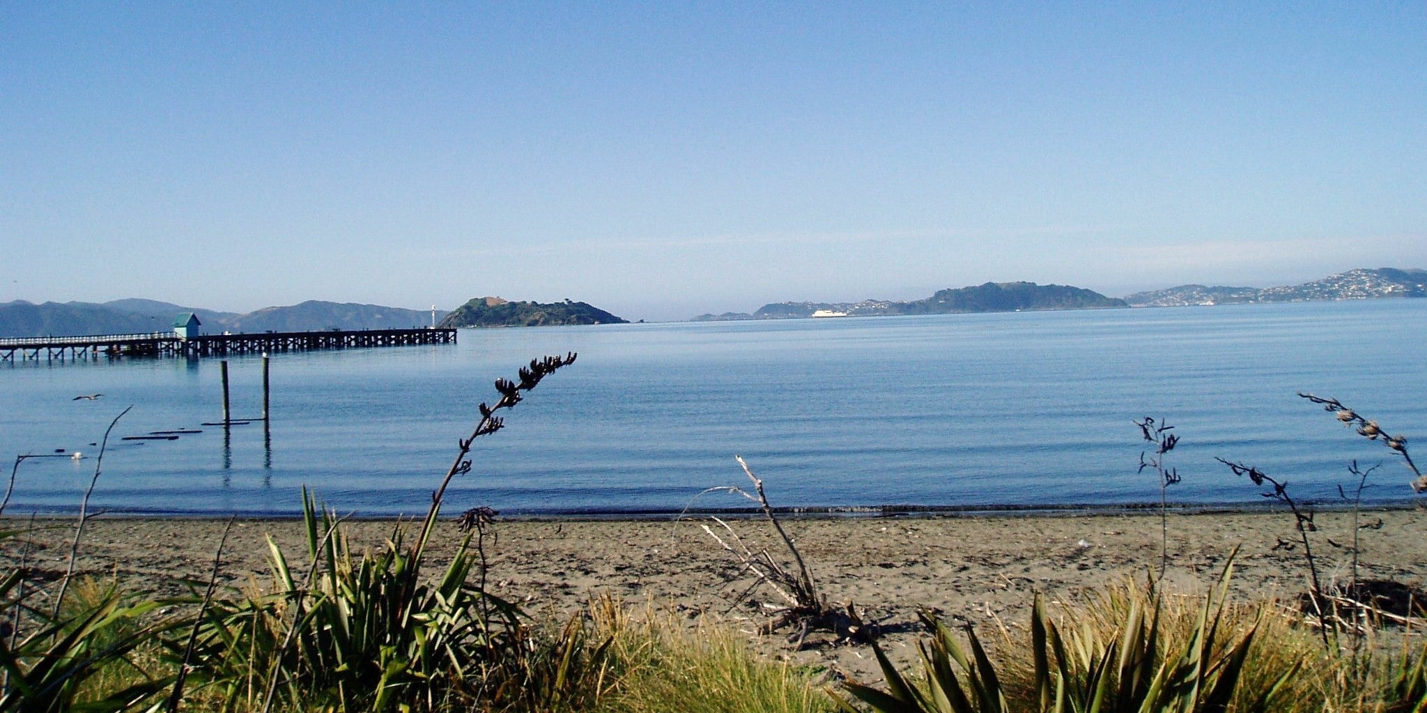 Petone beach