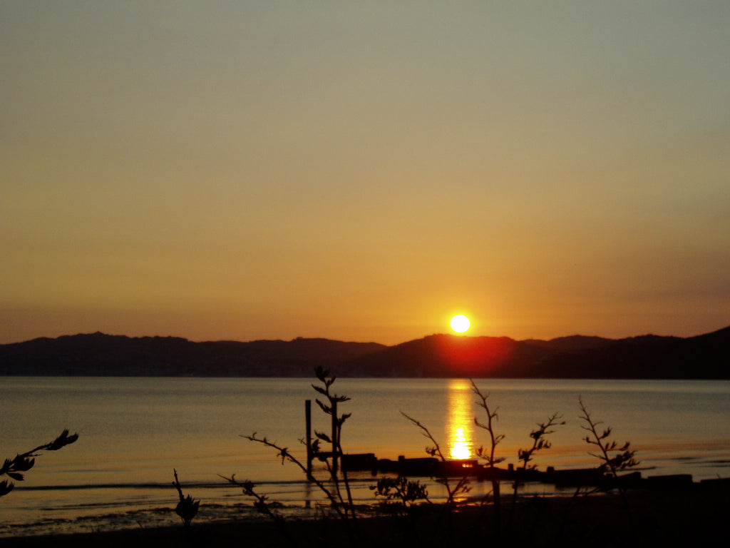 Petone Beach sunset