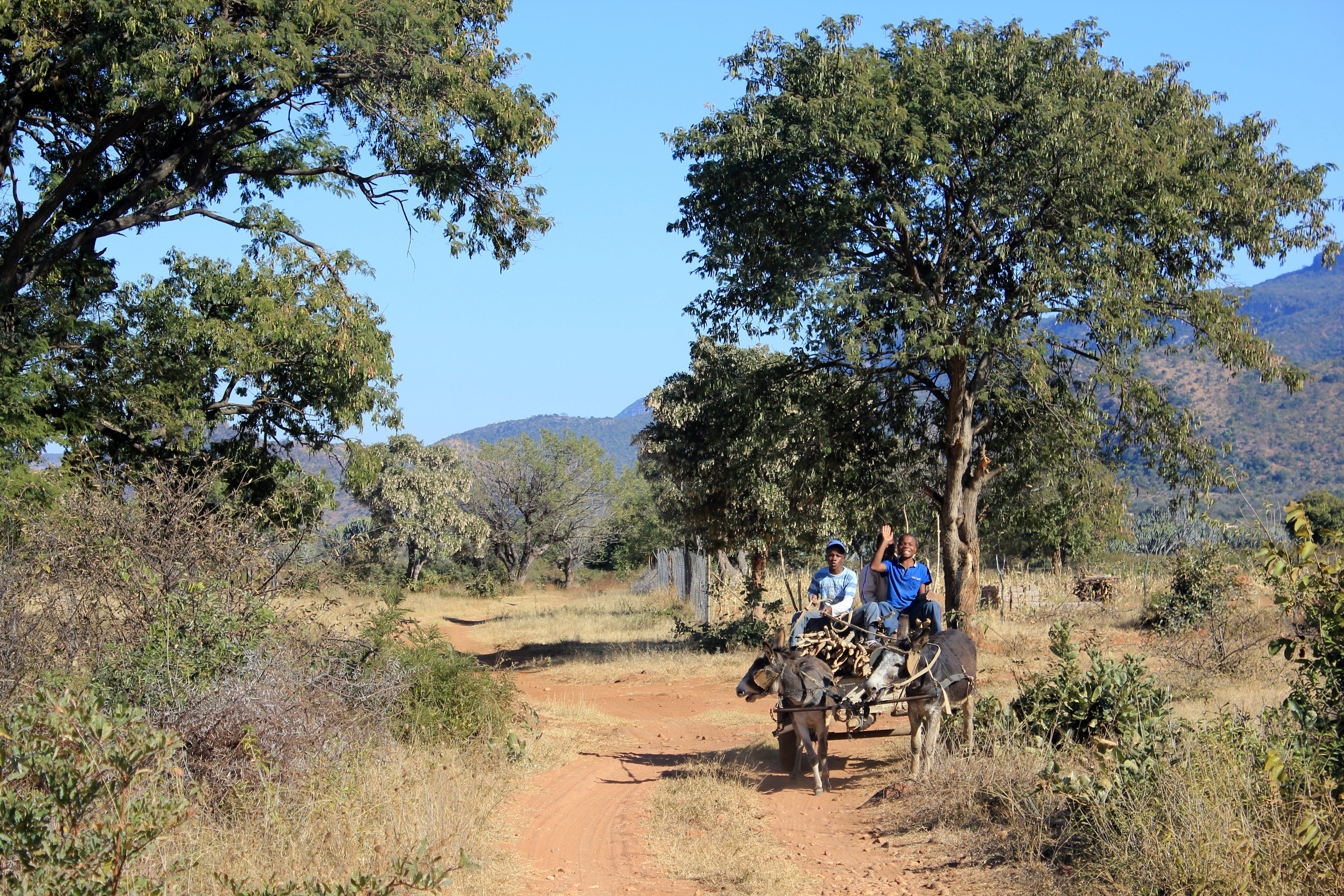 Local travel