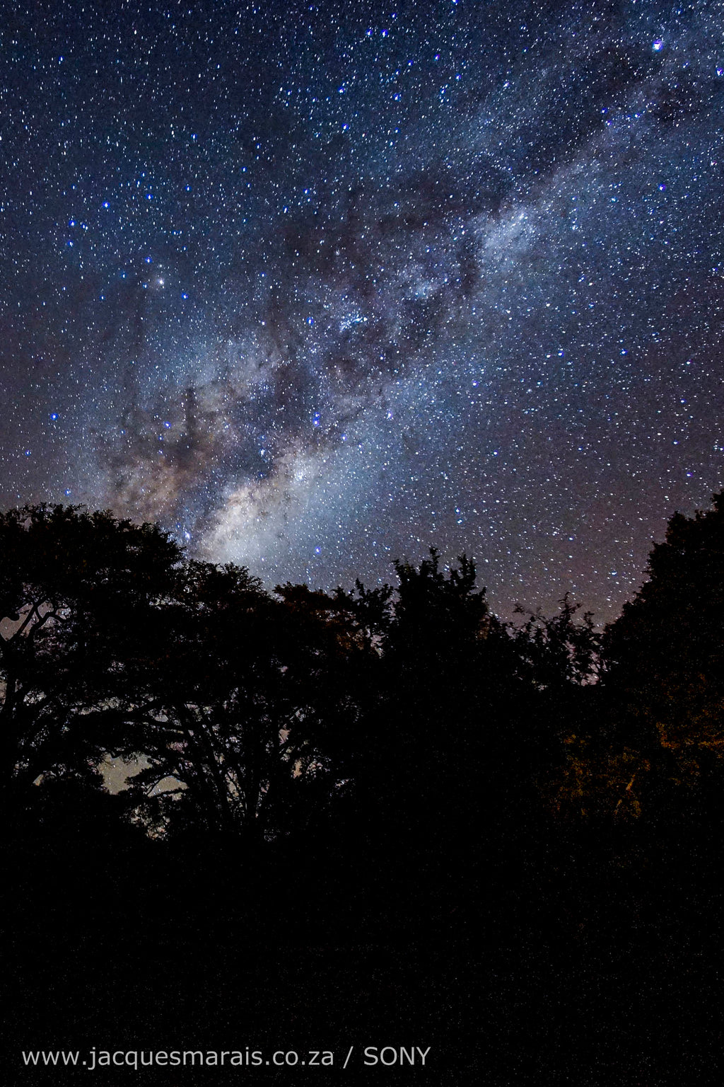 The Stunning Stars from Blouberg
