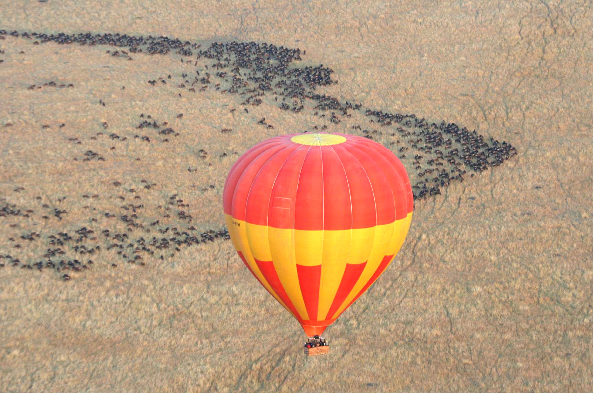 Balloon Safaris Limited