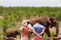 Wild Horizons Elephant Encounter