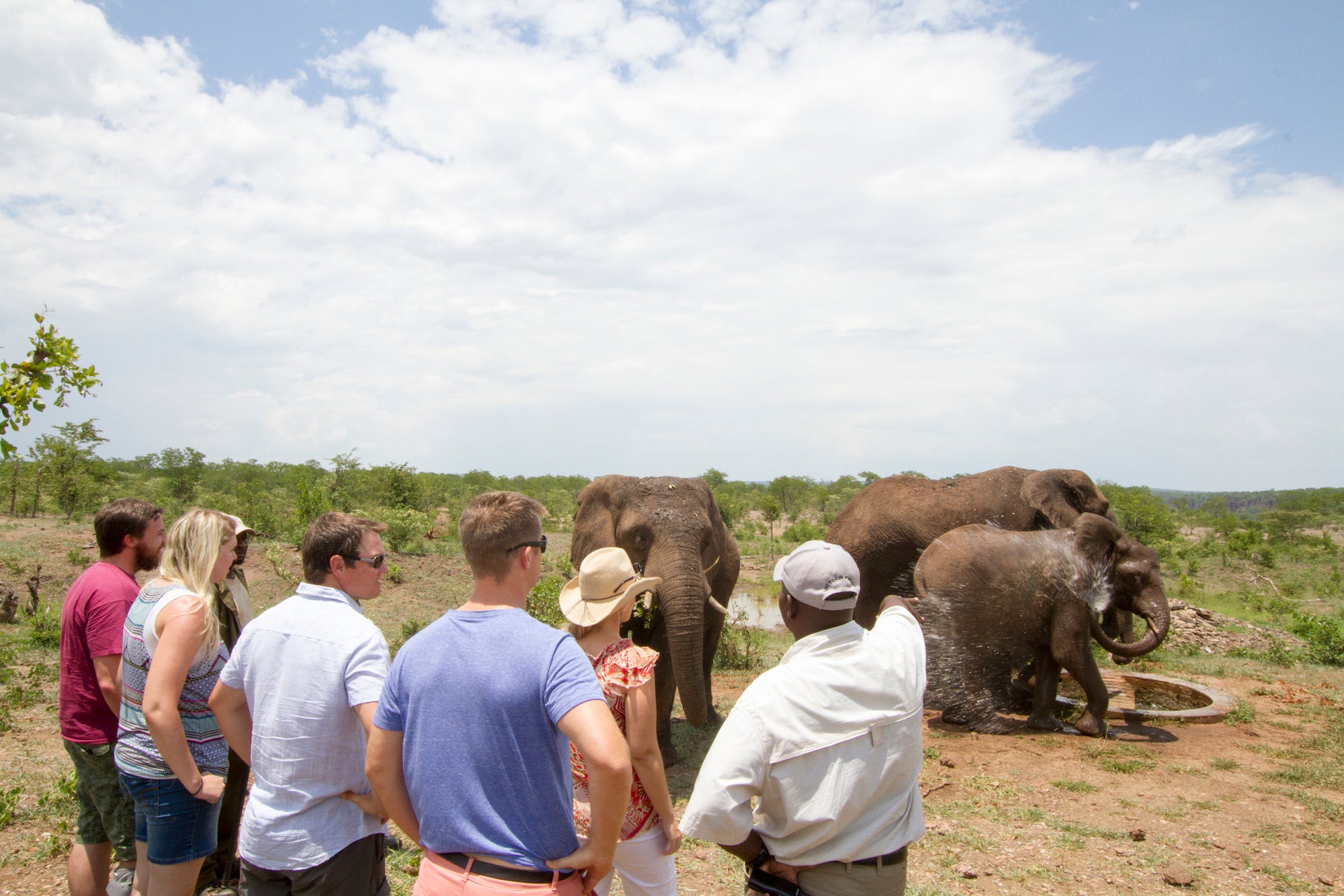 Wild Horizons Elephant Encounter