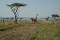 Ruma National Park