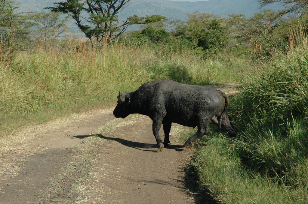 Ruma National Park
