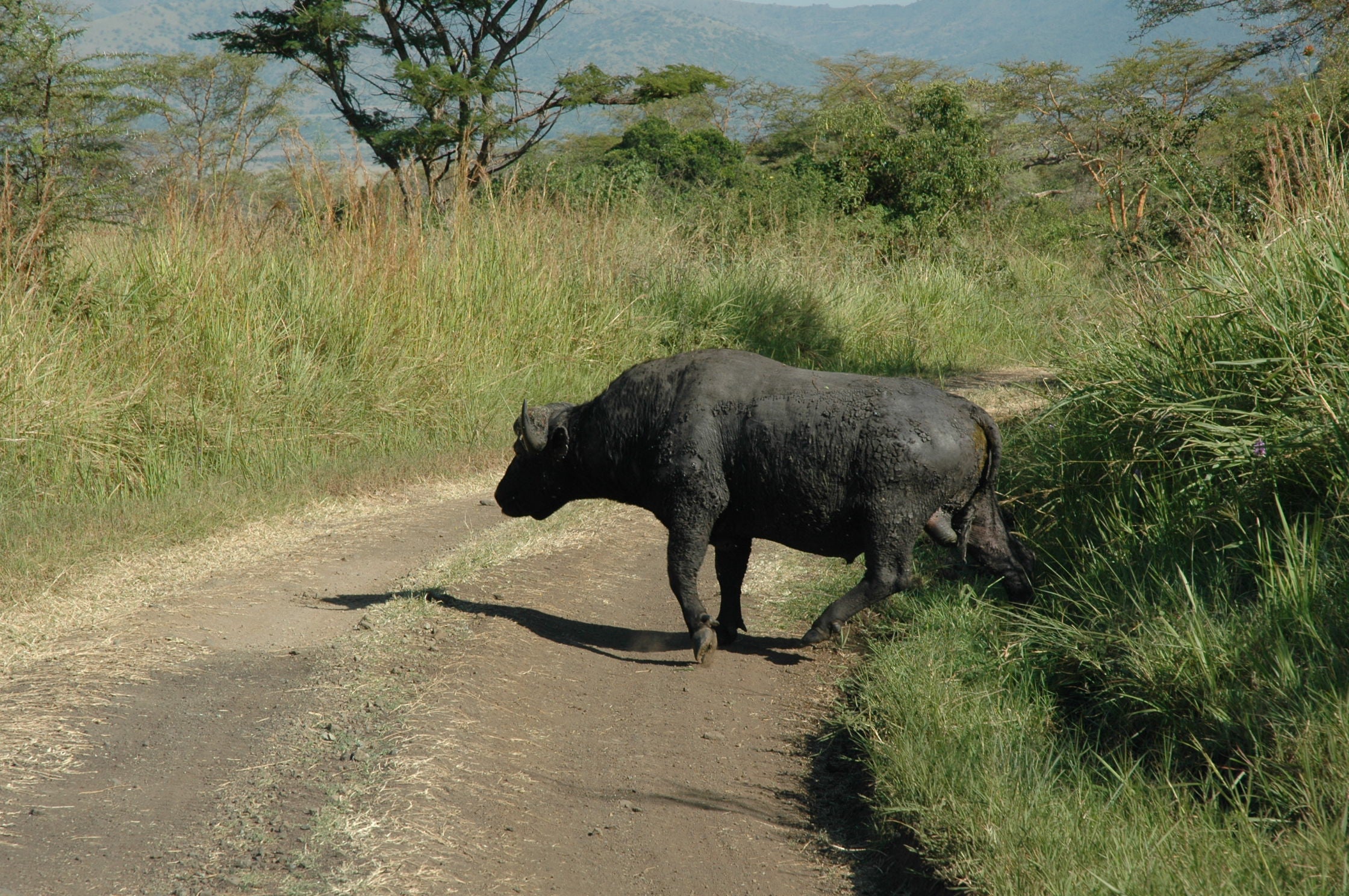 Ruma National Park