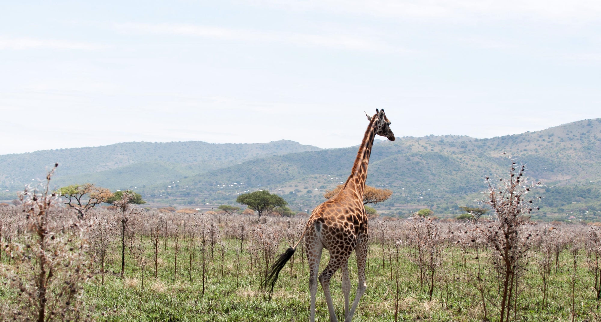 Ruma National Park