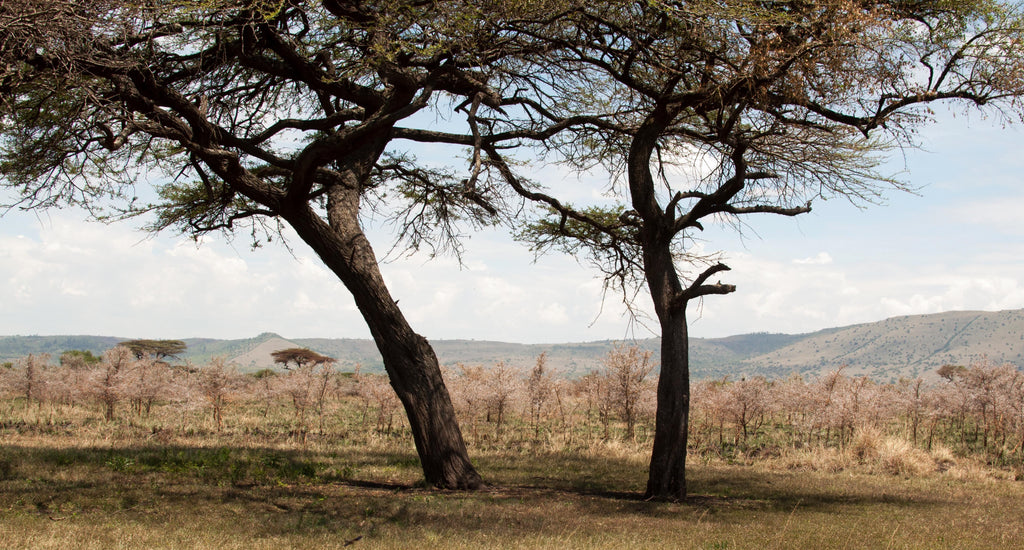 Ruma National Park