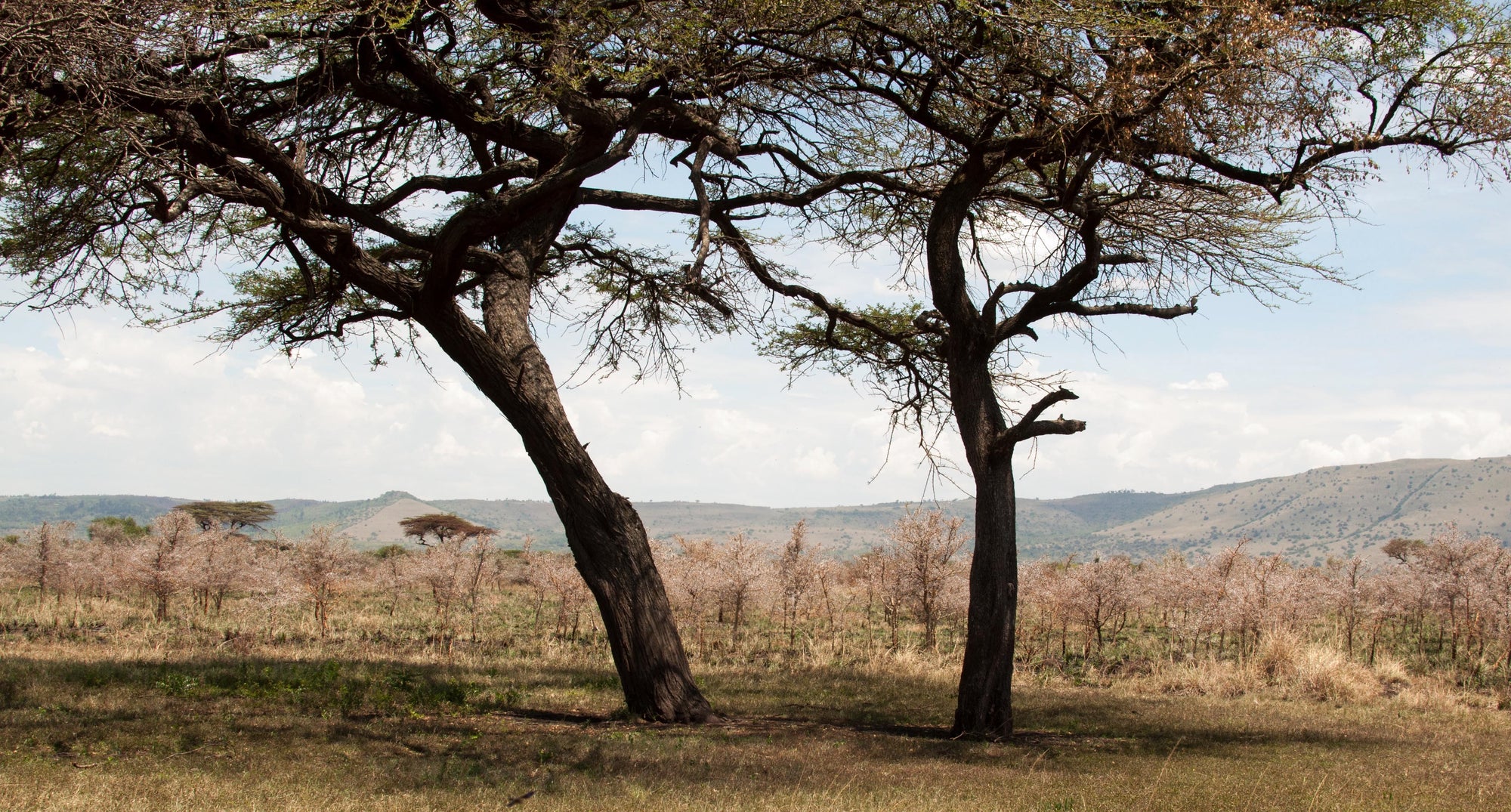 Ruma National Park