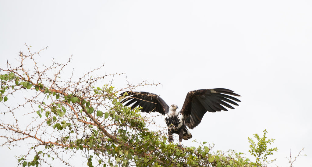 Ruma National Park