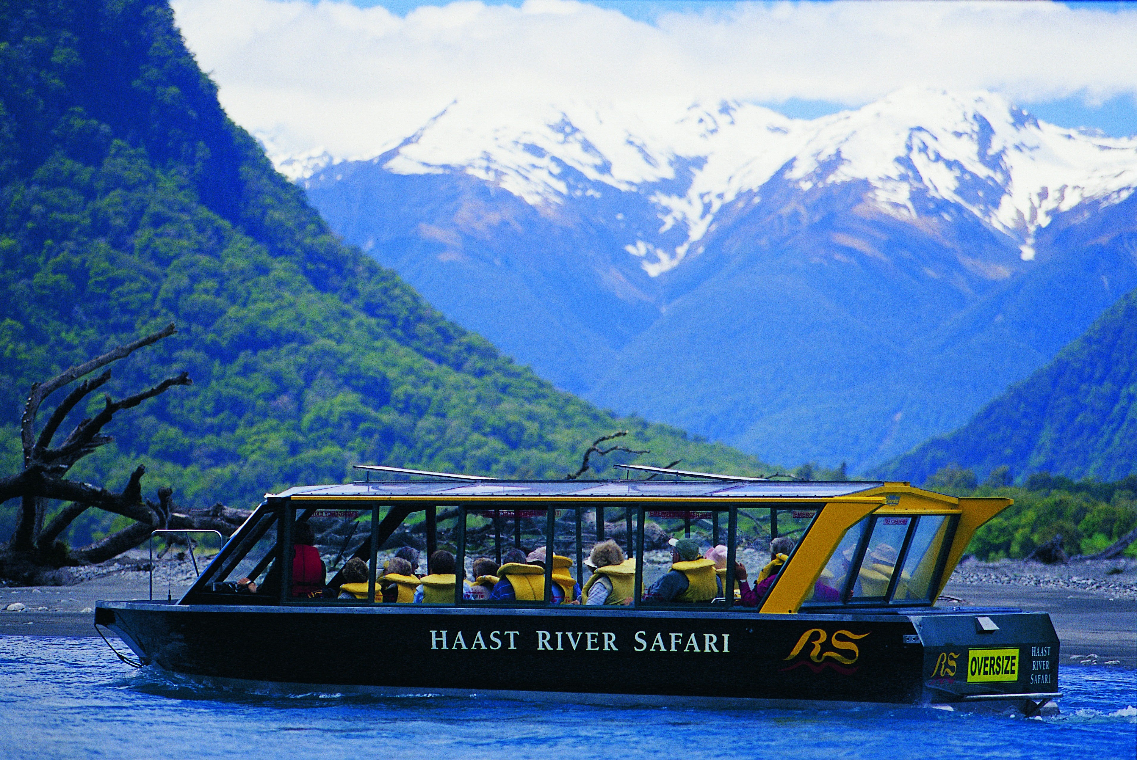 Haast River Safari