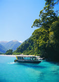 Haast River Safari