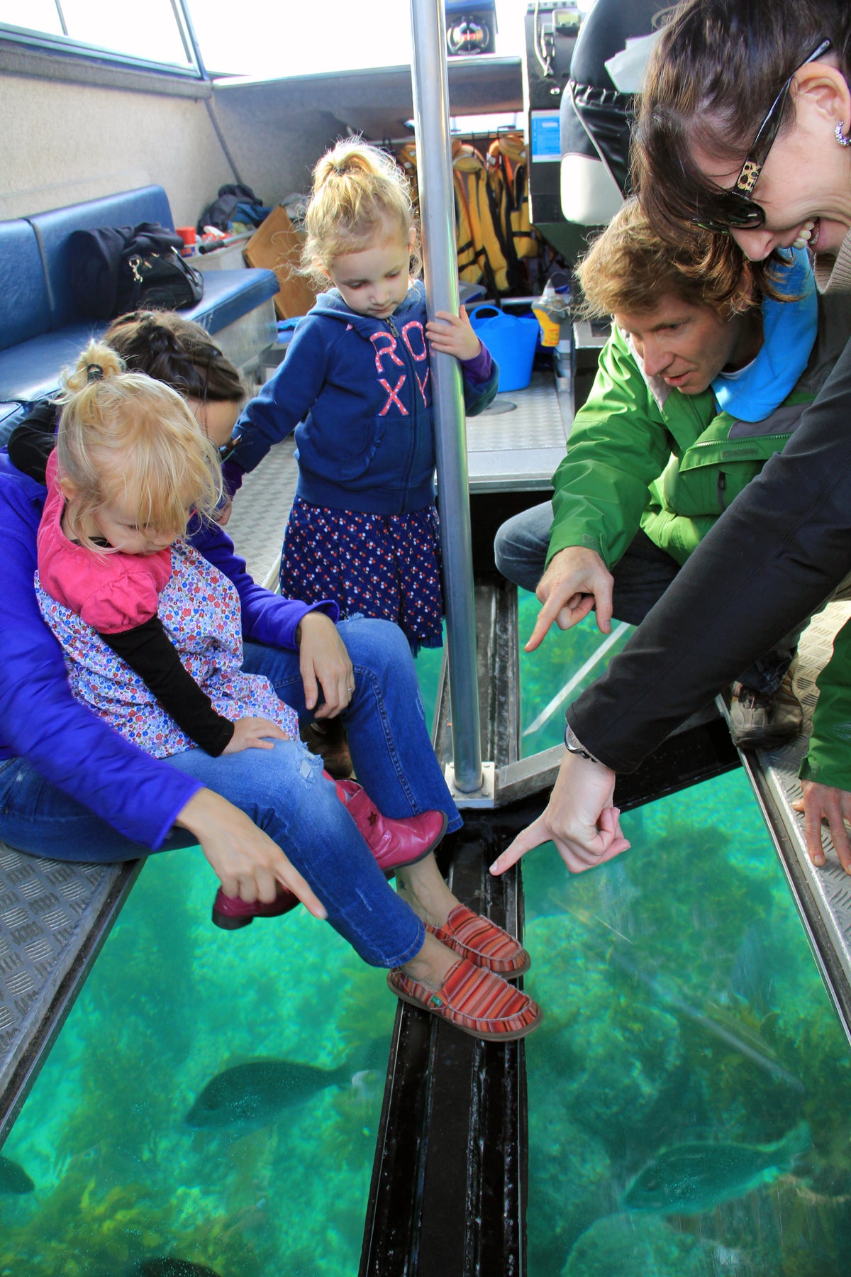 Glass Bottom Boat Whitianga