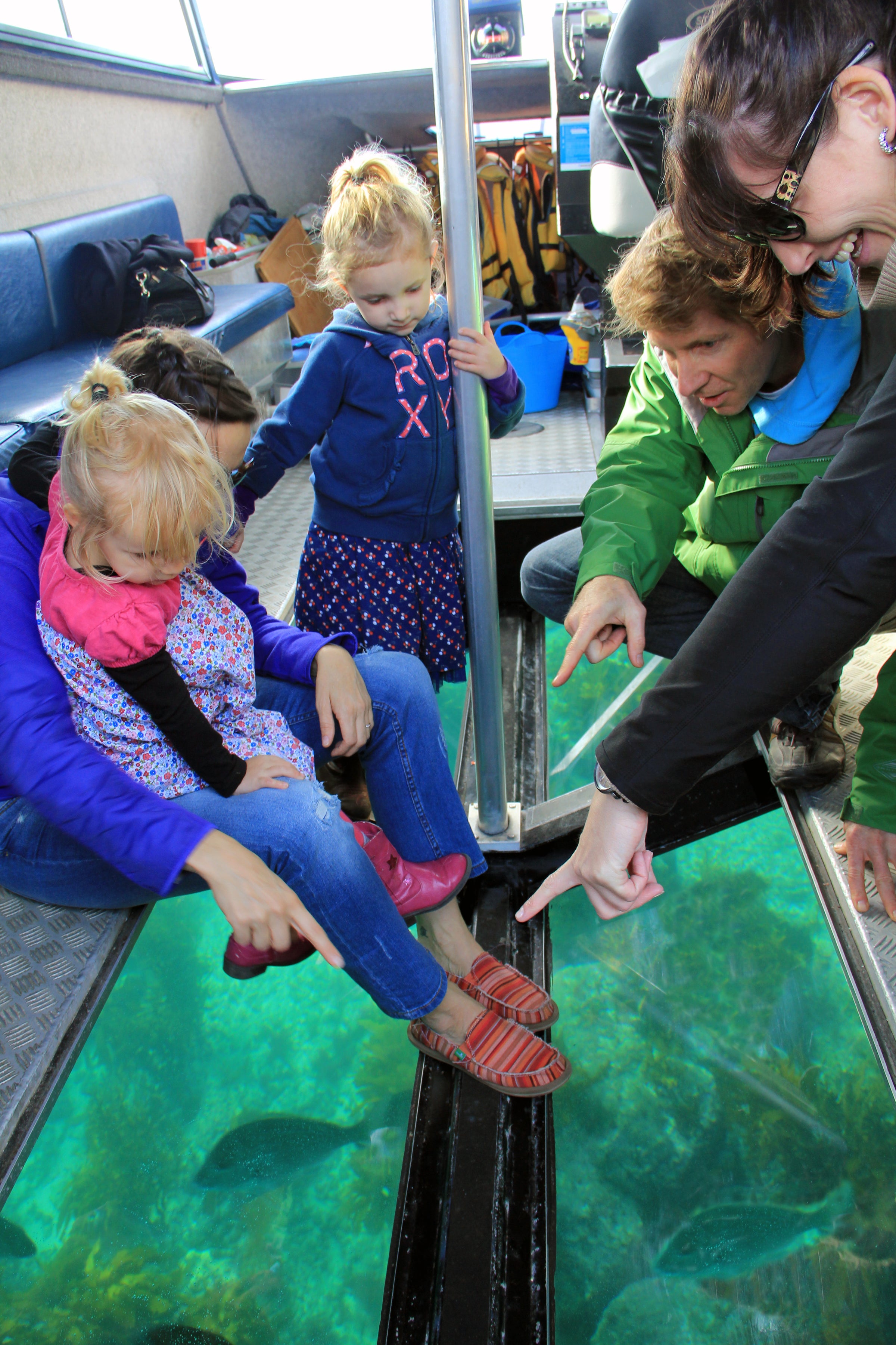 Glass Bottom Boat Whitianga
