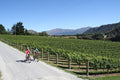 Biking through the wineries