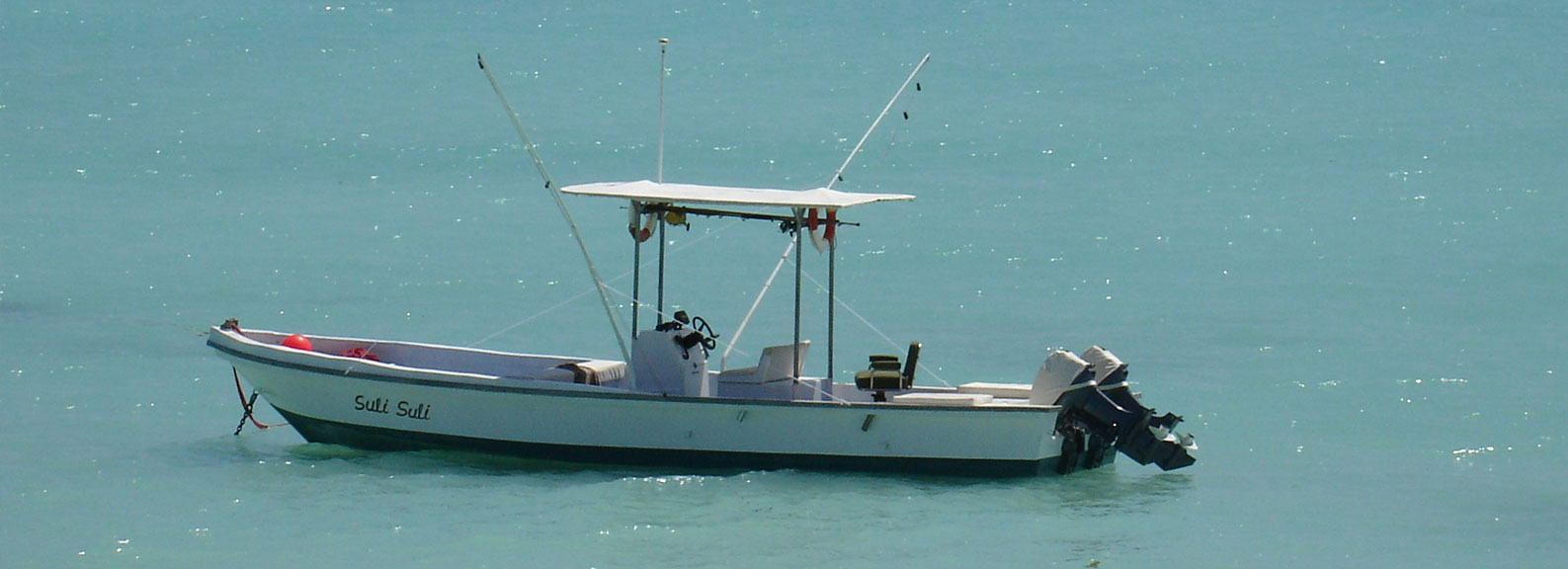 Zanzibar Big Game Fishing