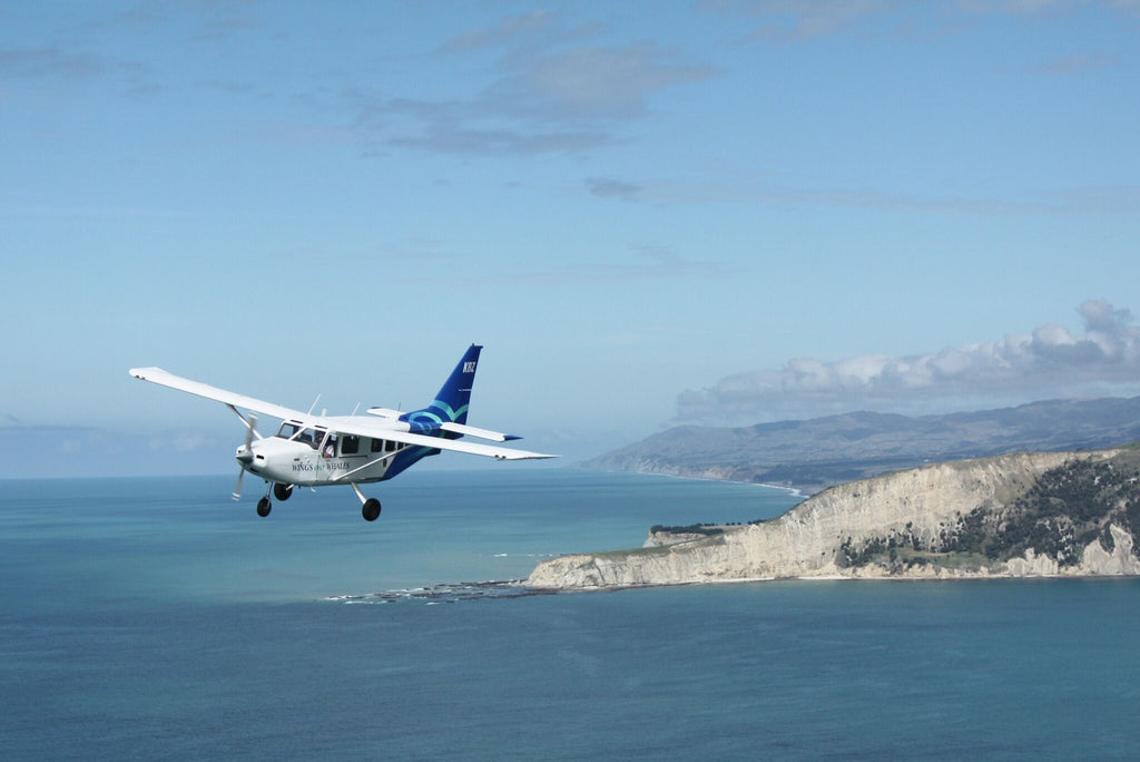 Hamuri Bluffs Wings Over Whales